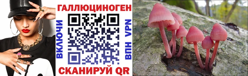 Галлюциногенные грибы Cubensis  Циолковский 